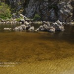 Иван Атанасов, Фотограф Русе Варна